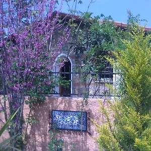 Fig Garden Tatil Evi